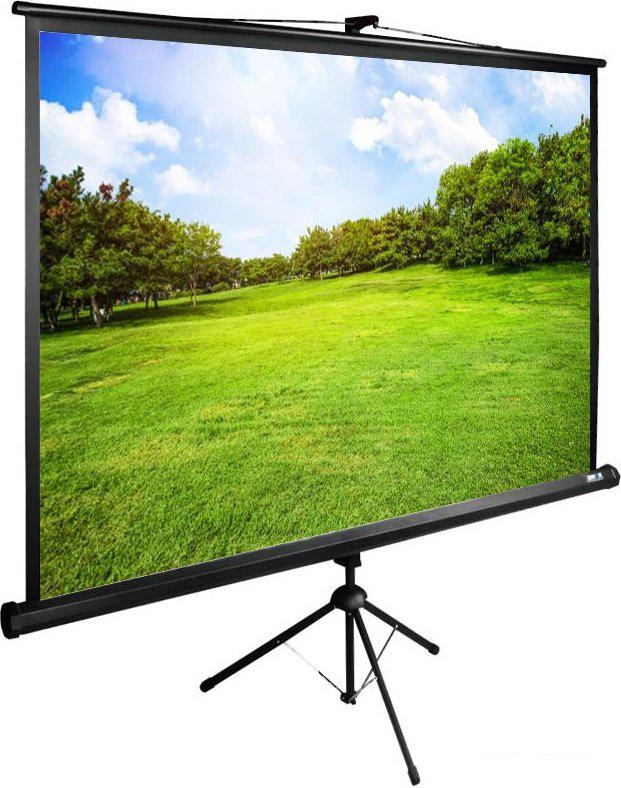 Проекционный экран CACTUS TriExpert 220x220 CS-PSTE-220х220-BK