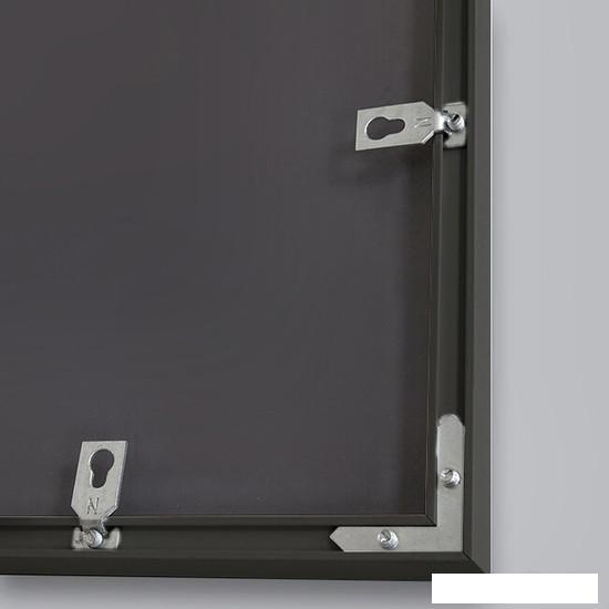 Интерьерные зеркала Алмаз-Люкс М-420 100х50