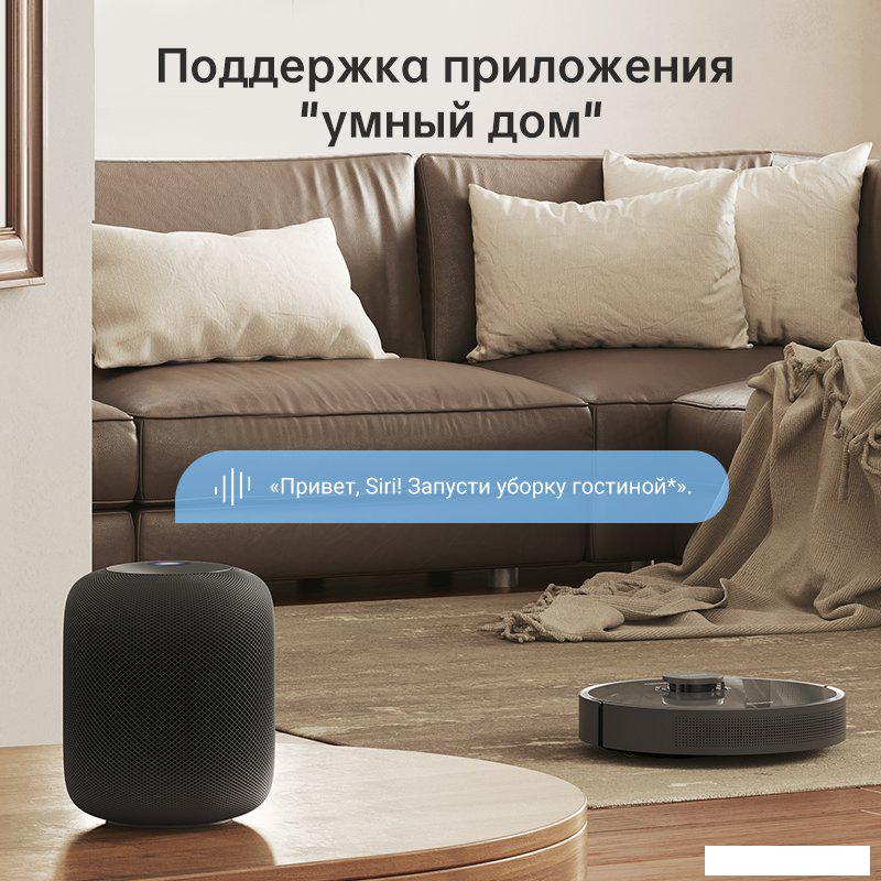 Робот-пылесос Dreame Bot D10s Plus (международная версия, черный)
