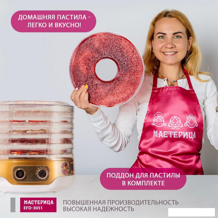 Сушилка для овощей и фруктов Мастерица EFD-3051