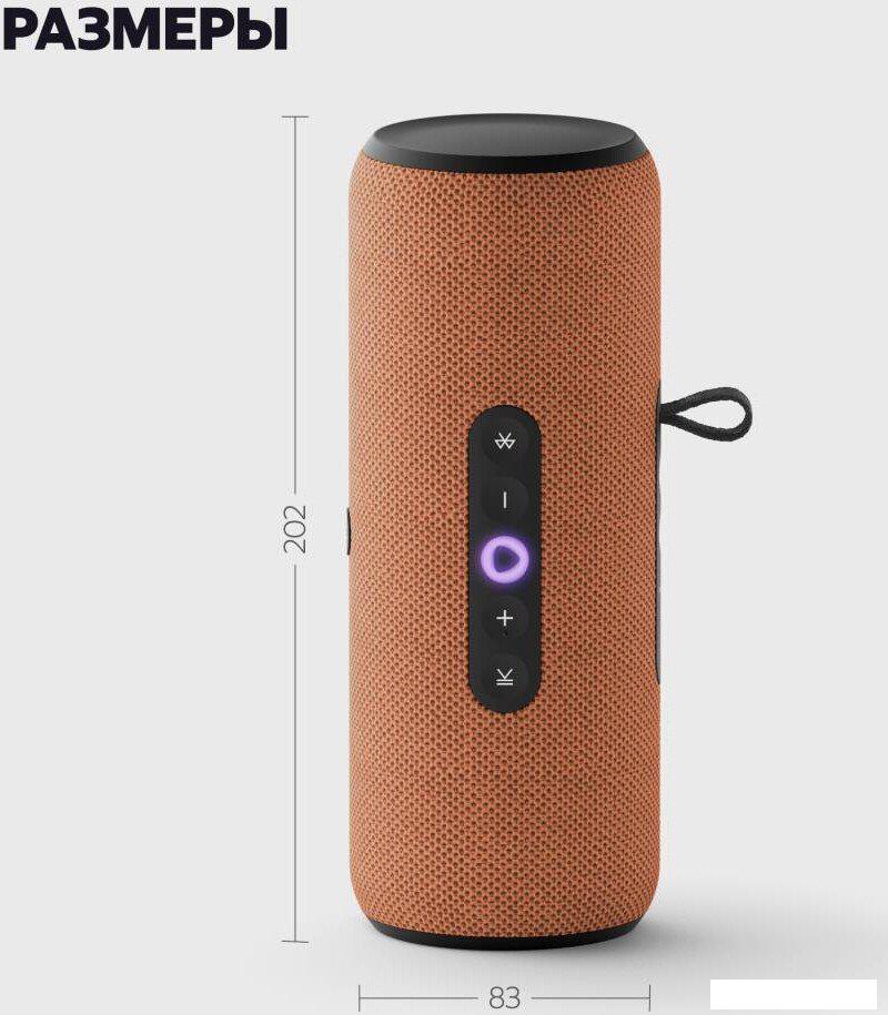 Беспроводные и портативные колонки Яндекс Станция Стрит (оранжевый)