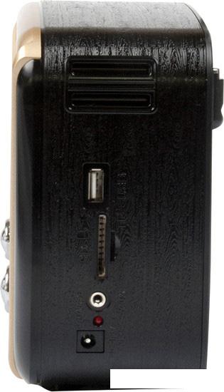 Радиоприемник Ritmix RPR-050 (золотой)