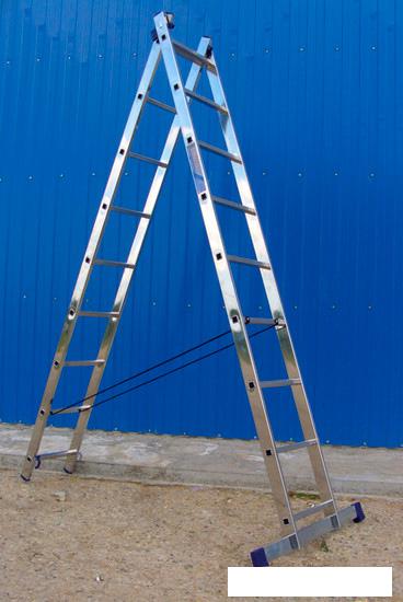 Лестницы и стремянки Алюмет двухсекционная универсальная 5209 2x9