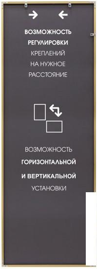 Интерьерные зеркала Алмаз-Люкс М-416 150х50