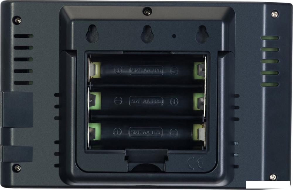 Термометр Levenhuk Wezzer PRO LP240 82934