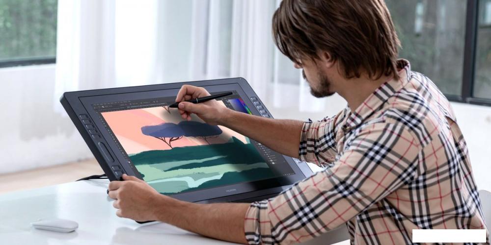 Графический монитор Huion Kamvas Pro 24