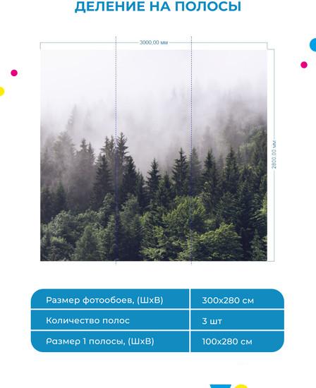 Обои ФабрикаФресок Туманный лес 193280 (300x280)