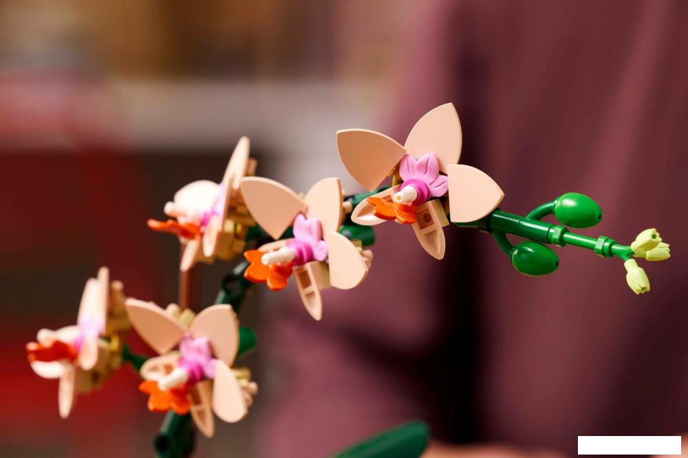 Конструктор LEGO The Botanical Collection 10343 Мини Орхидея