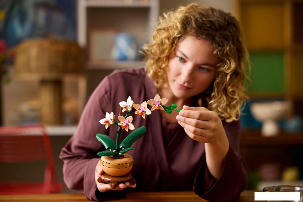 Конструктор LEGO The Botanical Collection 10343 Мини Орхидея
