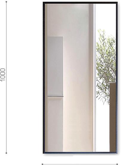 Интерьерные зеркала Алмаз-Люкс М-420 100х50