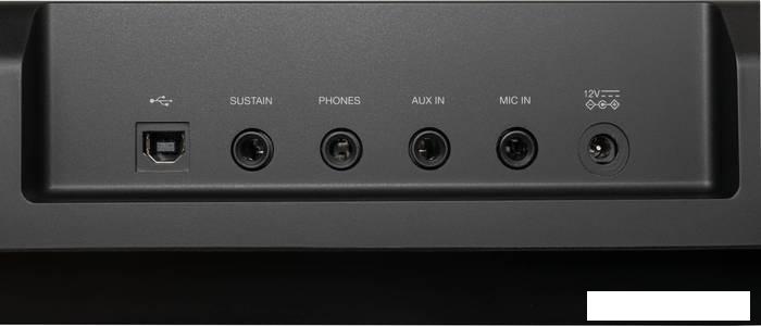 Синтезаторы и рабочие станции Rockdale Premiere 2