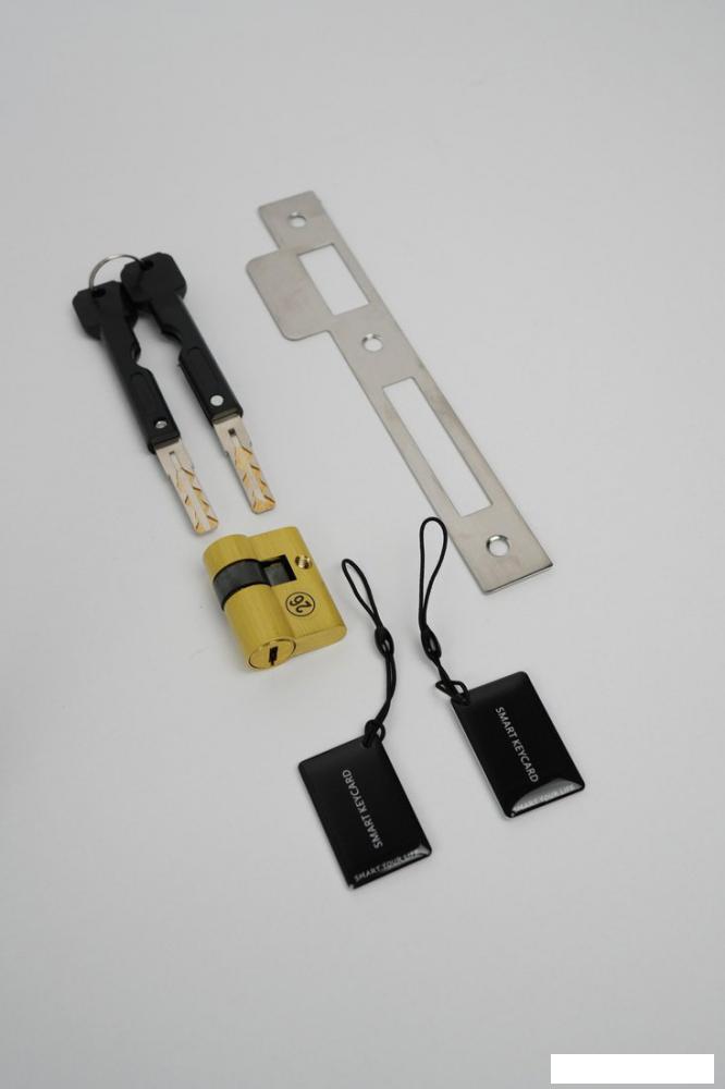 Дверной замок Roome Waterproof TTLock Digital Fingerprint Aluminum Door Lock A2