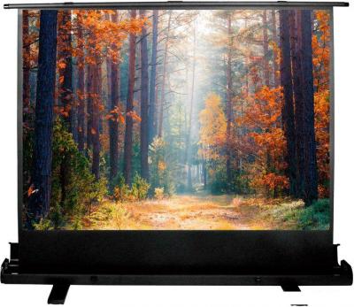 Проекционный экран CACTUS FloorExpert 150x200 CS-PSFLE-200X150
