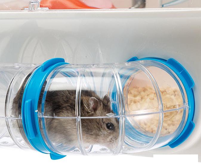 Клетки и аксессуары для птиц и грызунов Ferplast Combi 1 (белый) 57923499