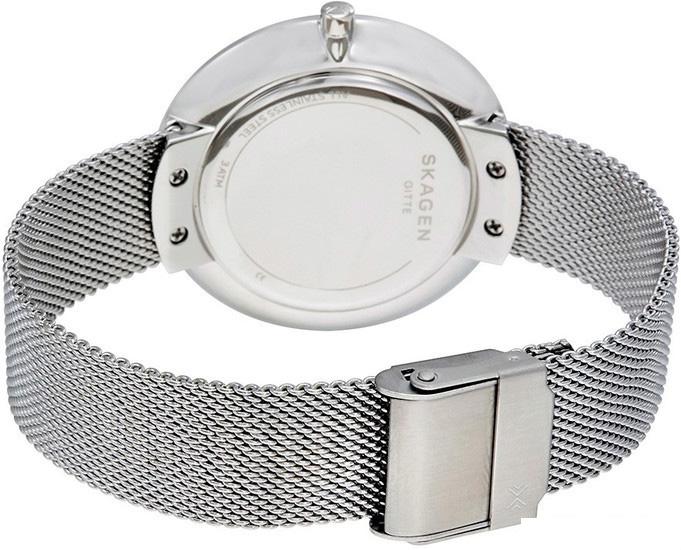 Наручные часы Skagen SKW2561