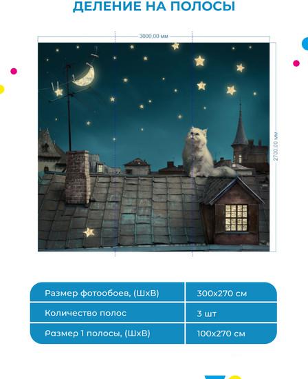 Обои ФабрикаФресок Кот на крыше 473270 (300x270)