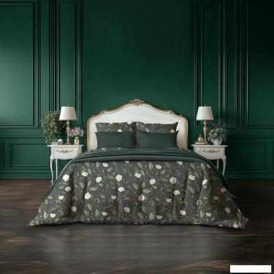 Постельное белье Verossa Keys Евро VRS 2542 30164/1+70102 СЛ15 23 925598