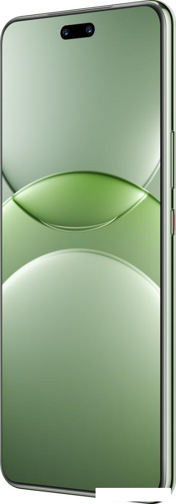 Телефон Huawei nova 13 Pro MIS-LX9 12GB/512GB (дымчатый зеленый)