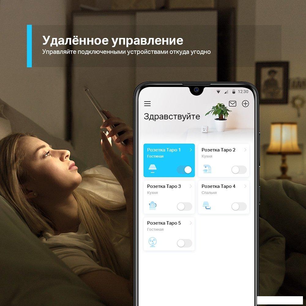 Умная розетка TP-Link Tapo P100 (2 шт)