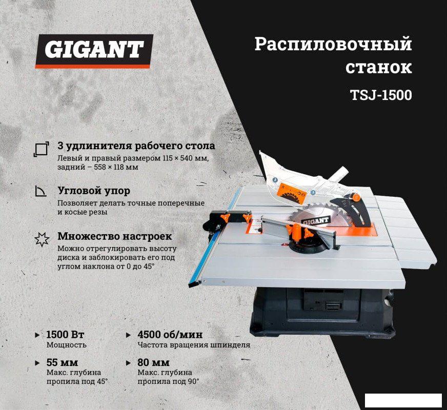 Распиловочный (циркулярный) станок Gigant TSJ-1500