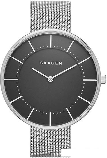 Наручные часы Skagen SKW2561