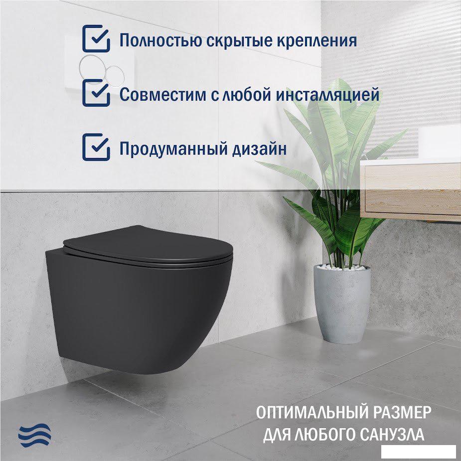 Унитазы Lauter Augsburg с жестким сиденьем Soft Close 21109EC (черный матовый, скрытое крепление)