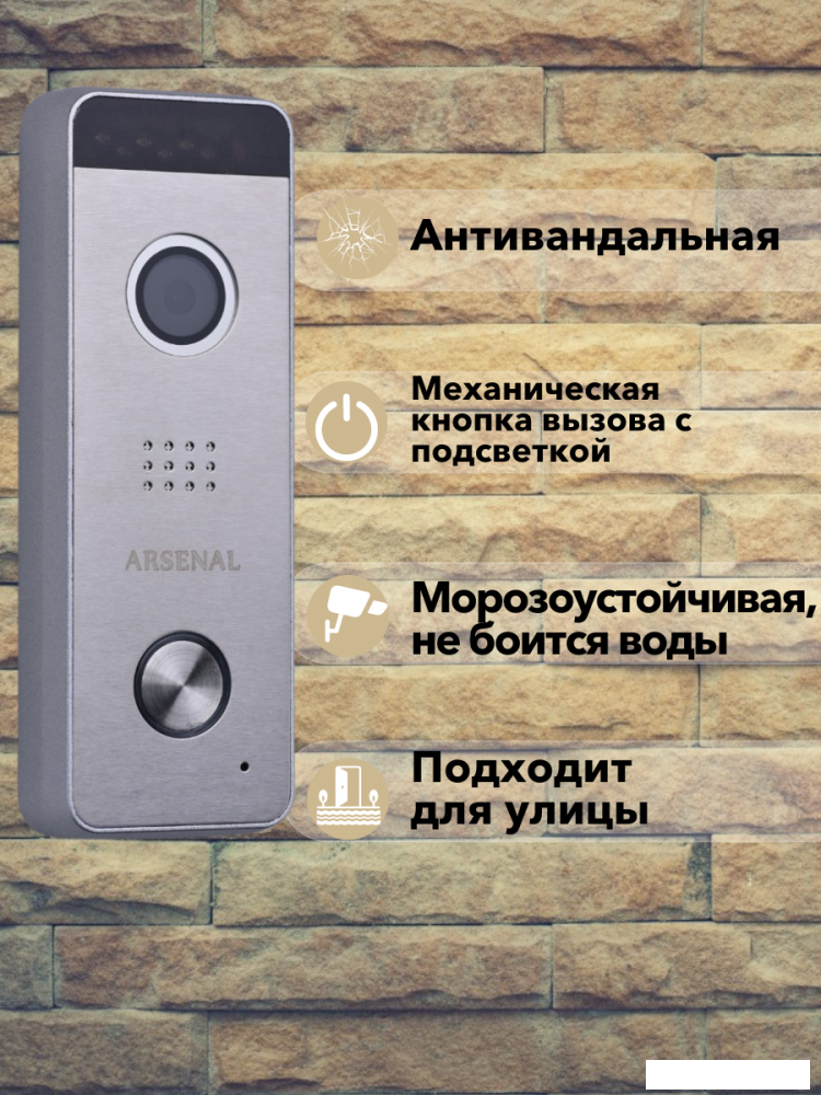 Вызывная панель Arsenal Рокси + (серебристый)