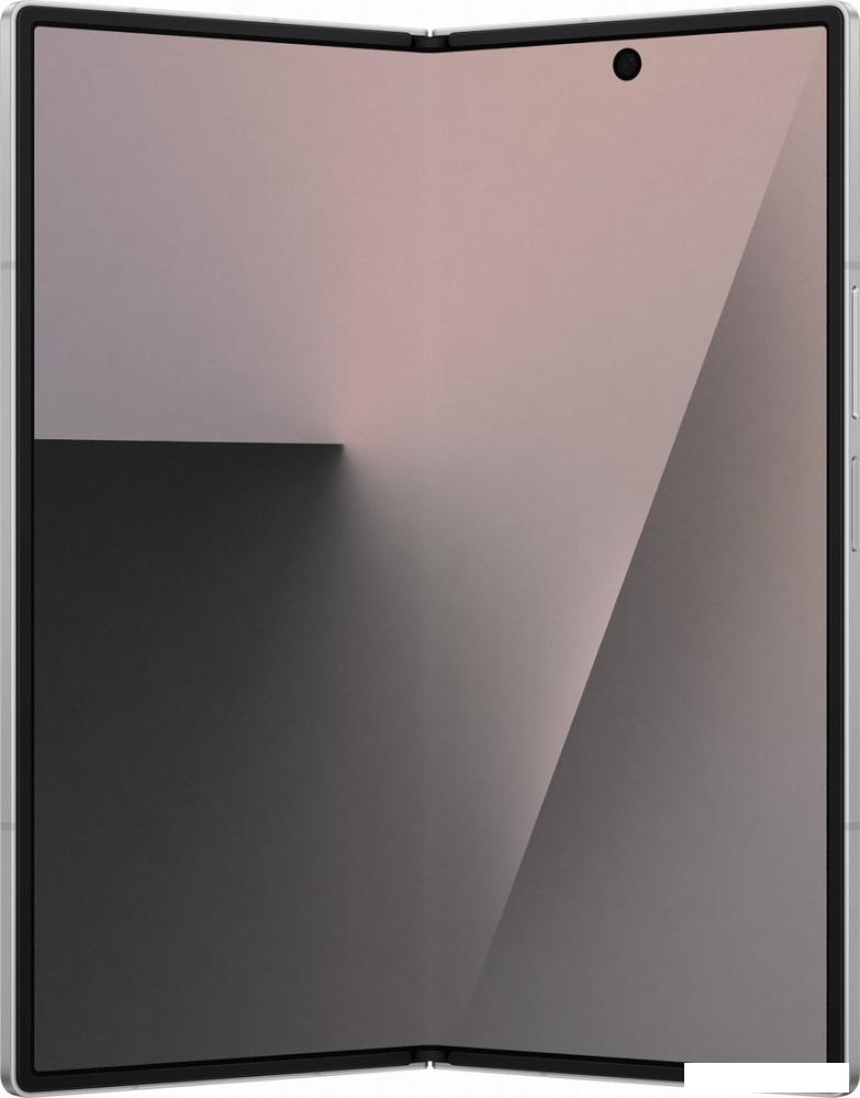 Телефон Samsung Galaxy Z Fold7 SM-F966B/DS 12GB/256GB (серебристый)