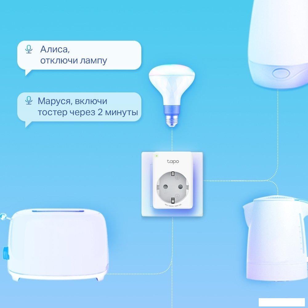 Умная розетка TP-Link Tapo P100 (2 шт)