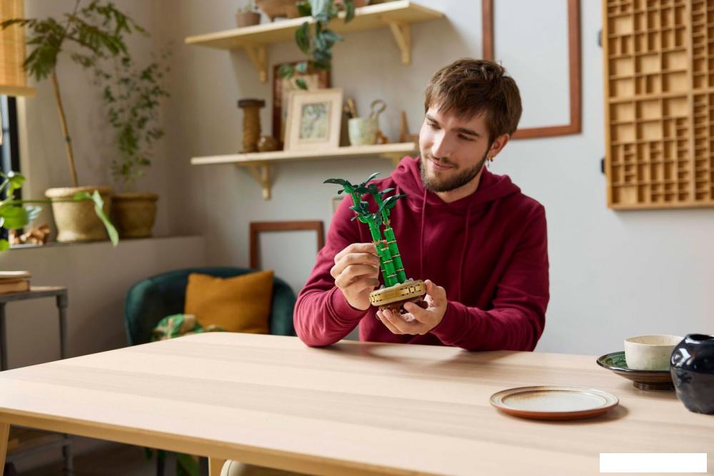 Конструктор LEGO The Botanical Collection 10344 Счастливый бамбук