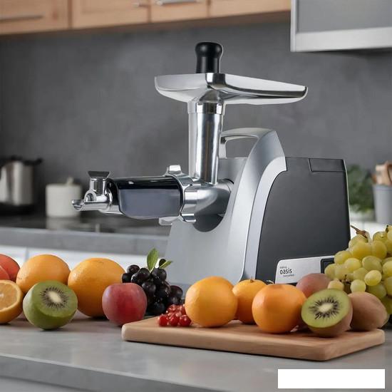 Мясорубка Making Oasis Everywhere MG-TK3