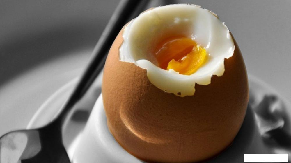 Яйцеварка CASO E3