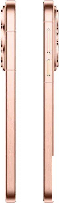 Телефон Huawei Pura 80 HED-LX9 12GB/256GB (золотой)