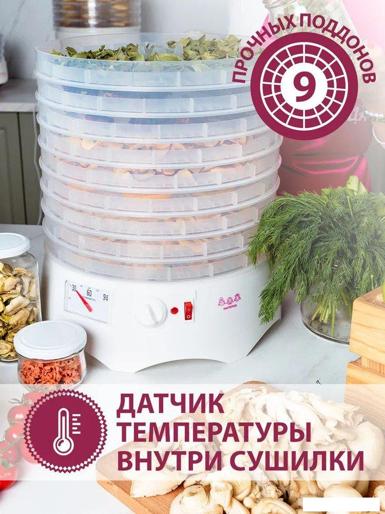 Сушилка для овощей и фруктов Мастерица EFD-0903VM (с прозрачными поддонами)