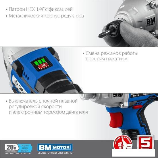 Винтоверт Зубр Профессионал GVB-250-42 (с 2-мя АКБ 4 Ач, кейс)