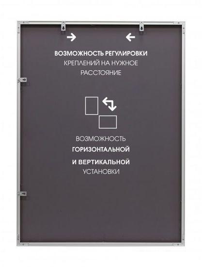 Интерьерные зеркала Алмаз-Люкс M-411 100х70