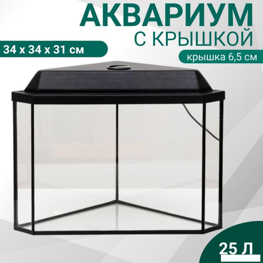 Аквариум Sima-Land Дельта 3424617 (черный)