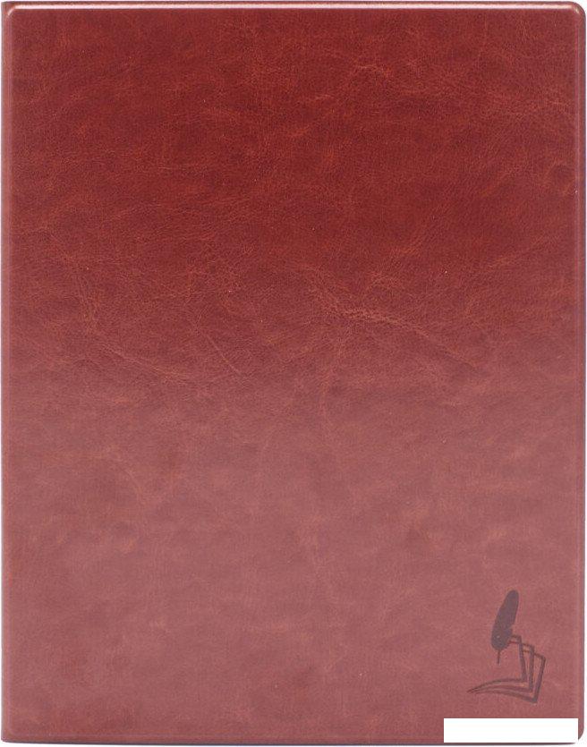 Электронная книга Onyx BOOX Lomonosov 3