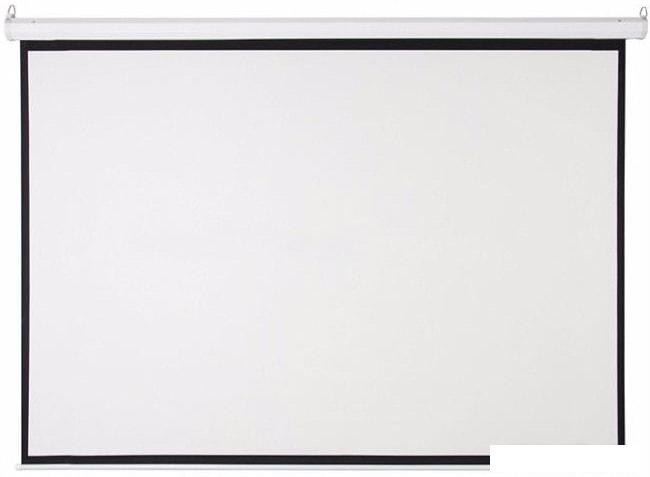 Проекционный экран Future Vision Video 200x150 W200VMW