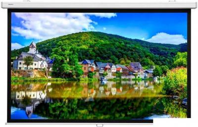 Проекционный экран Lumien Master Picture 172х176 LMP-100110CSR