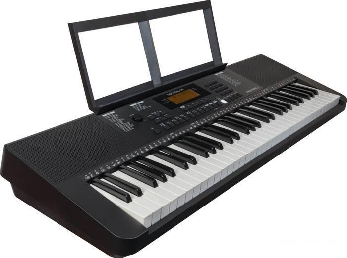 Синтезаторы и рабочие станции Rockdale Premiere 2