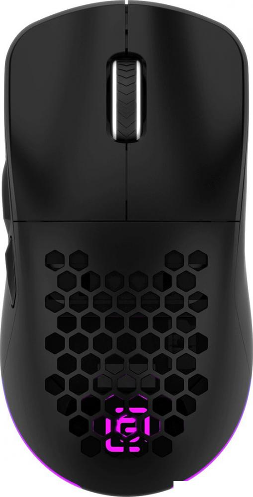 Игровая мышь Oklick 900GMW (черный)