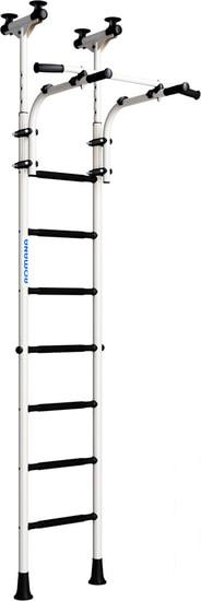 Детские спортивные комплексы и игровые площадки Romana R9 01.20.7.06.410.04.00-01 (белый антик золото/черный)