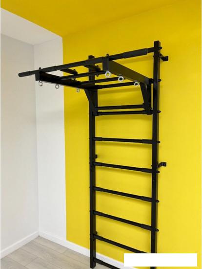 Детские спортивные комплексы и игровые площадки Romana 11.05.03 (черный)