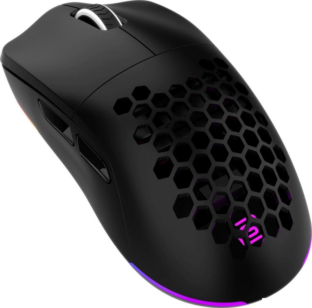 Игровая мышь Oklick 900GMW (черный)