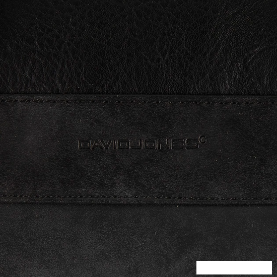 Дорожная сумка David Jones 823-CM0798B (черный)