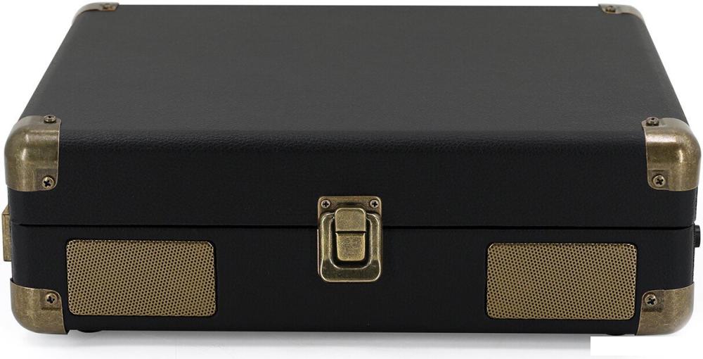 Виниловый проигрыватель Ritmix LP-100 (черный)