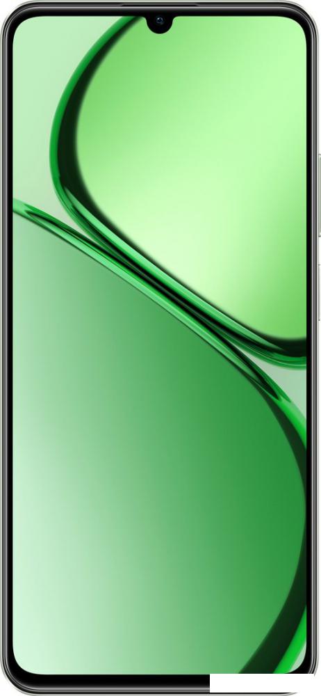 Смартфон Realme C63 RMX3939 8GB/256GB международная версия (нефритовый зеленый) Смартфон Realme C63 RMX3939 8GB/256GB международная версия (нефритовый зеленый)