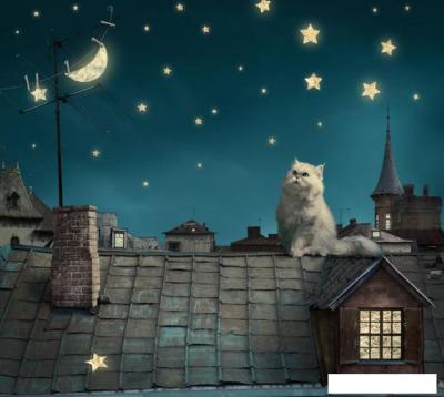 Обои ФабрикаФресок Кот на крыше 473270 (300x270)