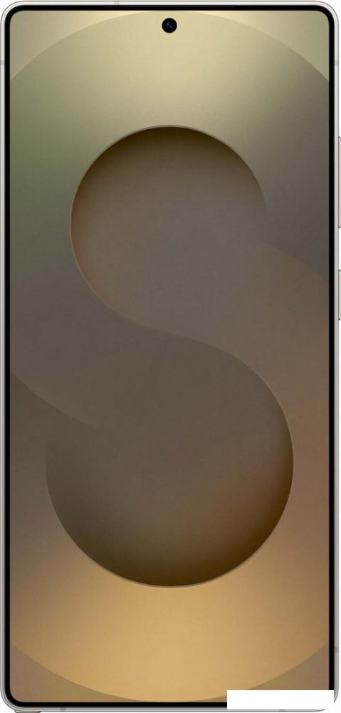 Смартфон Samsung Galaxy S25 Ultra SM-S938B 12GB/256GB (серый титан)